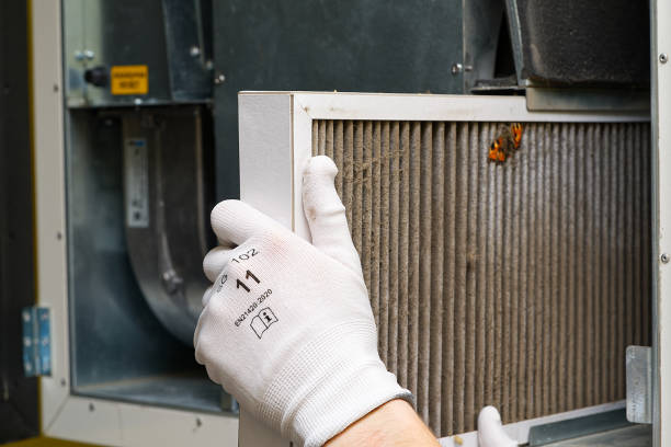 Best Duct Cleaning for Homes  in Oakwood, IL