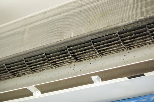 Best Commercial HVAC Duct Cleaning  in Oakwood, IL
