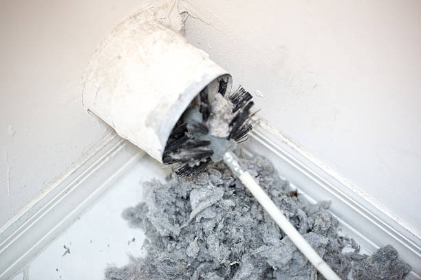 Best Affordable Air Duct Cleaning  in Oakwood, IL