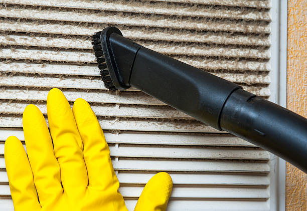Best Air Duct Cleaning Near Me  in Oakwood, IL