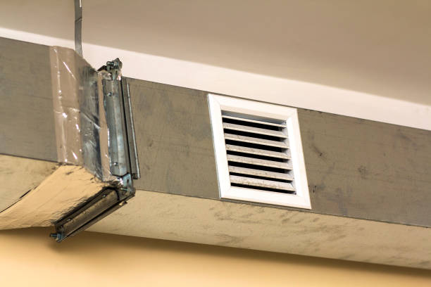 Best Air Duct Inspection  in Oakwood, IL